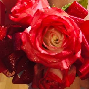 Meet your Posher, Beth